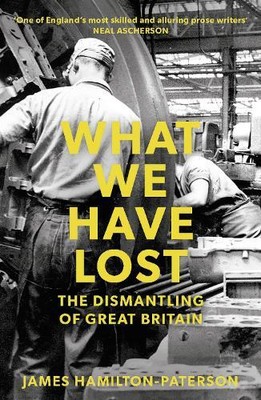 James Hamilton-Paterson What We Have Lost (Paperback) (UK IMPORT)