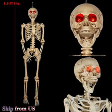 5 ft 5 in LED Eyes Poseable Human Size Skeleton Skull Halloween Decoration Prop