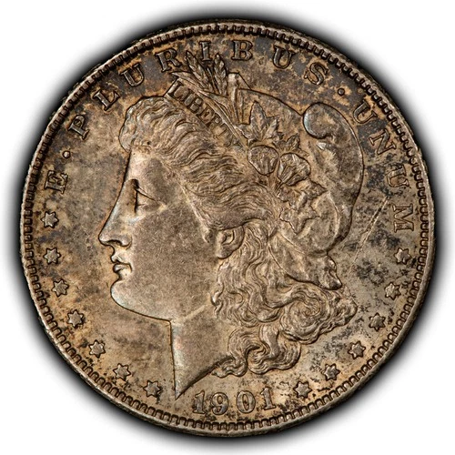 1901-S $1 Morgan Silver Dollar - Original Toning - AU+ - SKU-D7209