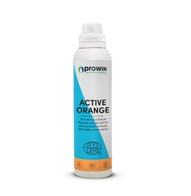 Prowin Active Orange Universalschaum 1000gr. -  WC-Reiniger Versandfrei !!!