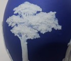 Picture 3 of 17
