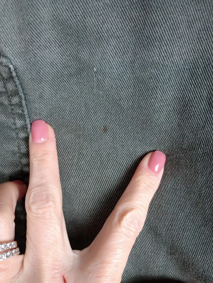 Arborwear Original Tree Climbers Pant Green Measures 36x27 READ DESCRIPTION  - Image 3 of 4