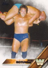 Mike Rotunda IRS Irwin R Schyster WWE Wrestling Trading Card Legend Topps #76