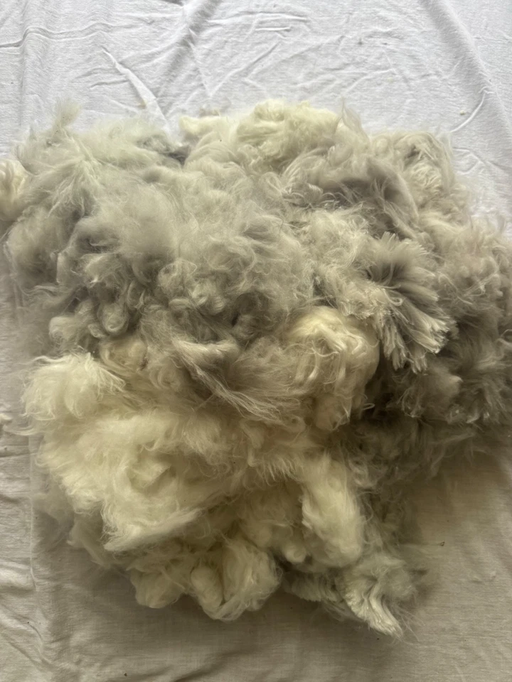 Wholesale EXC Multicolor Fleeces Handspinning Angora Fiber Raw Spinning 12 oz - Image 4 of 4