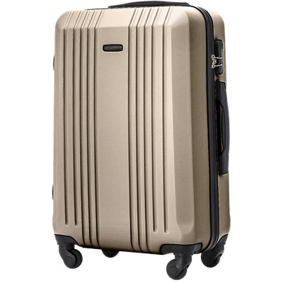 Wings 24'' KESTREL Champagner Medium Koffer