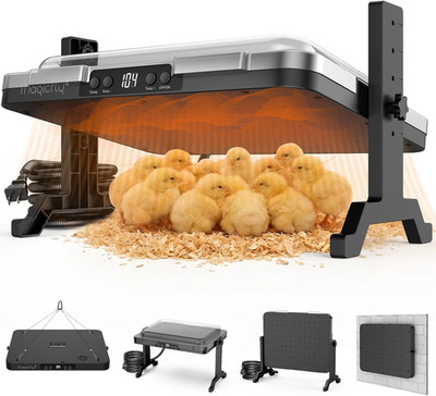Brooder Plate for Chicks,  200W Adjustable Chick Brooder Heater with Temp & Time