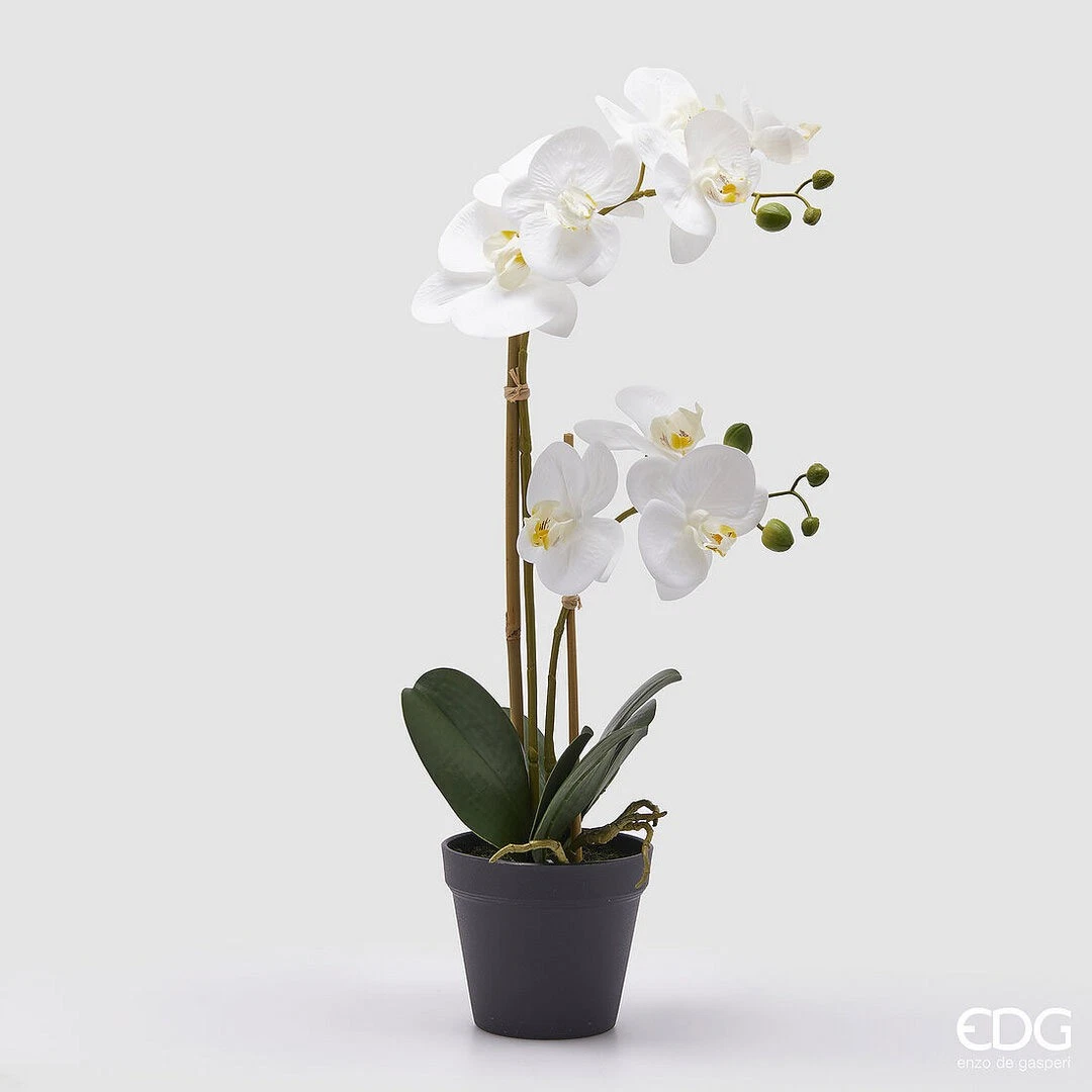 8 Fiori Di Magnolia Artificiali Bianchi In 2 Mazzi, Seta Realistica, 29 Cm, Per Composizioni E Decorazione Casa - 2