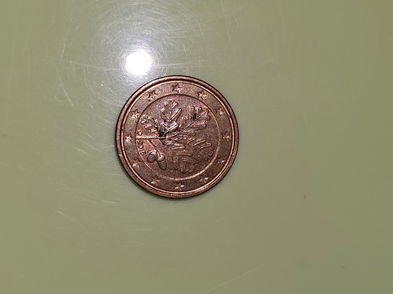 Semi Di Erba Per Gatti BIO - Il Condomicio - Shop