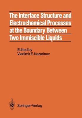Interface Structure and Electrochemical Processes at the Boundary Between Two...