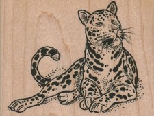 Spotted Cat 3 1/2 x 2 1/2" Rubber Stamp, Cat Stamp, Cat Lover Stamp