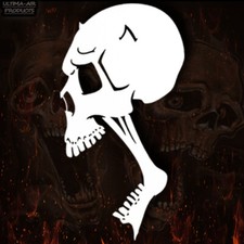 SCREAMER SKULL STENCIL #2 MYLAR REUSABLE AIRBRUSH STENCIL PAINT ART TEMPLATE 