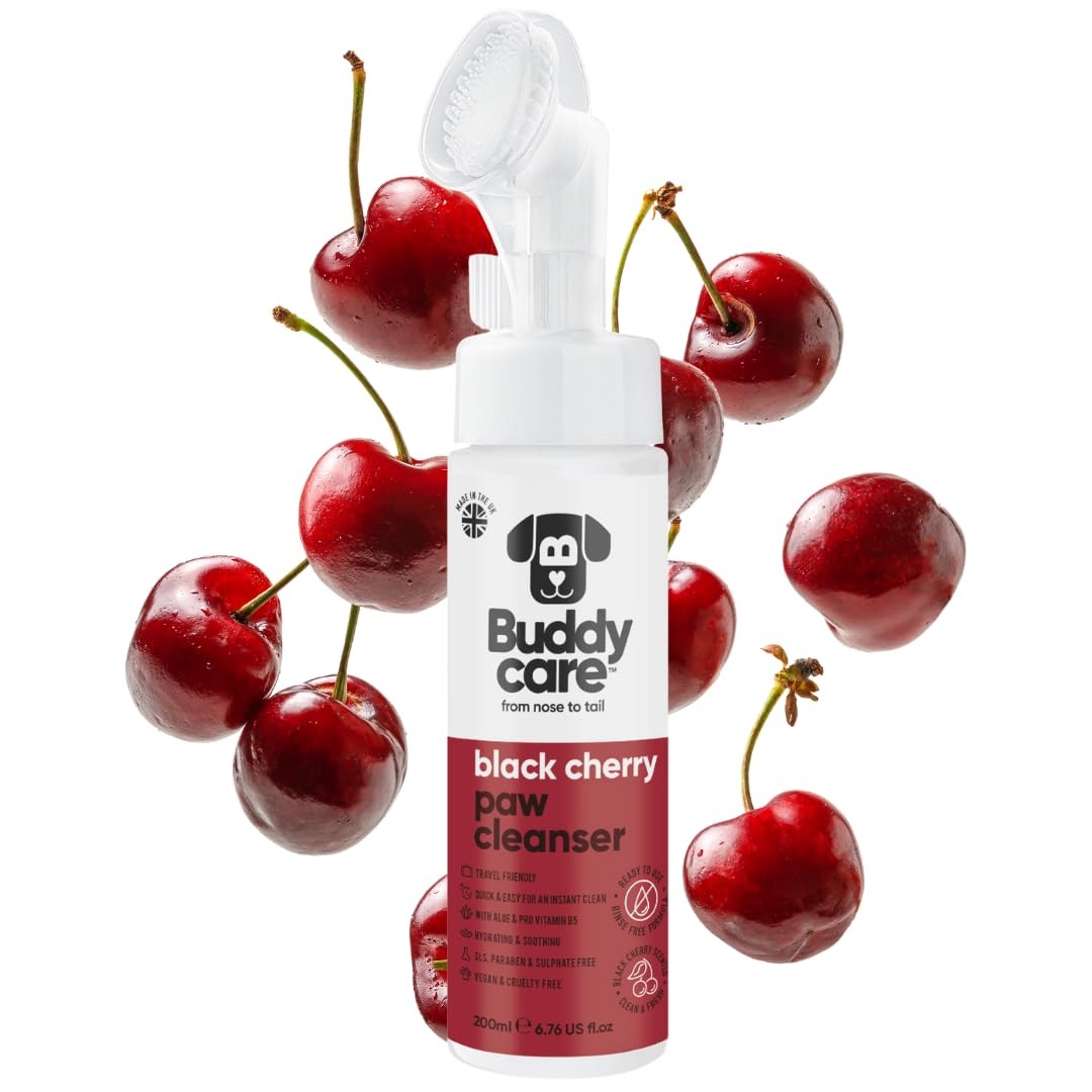 Nettoyant pattes de chien cerise noire pour le retour de promenade 200ml