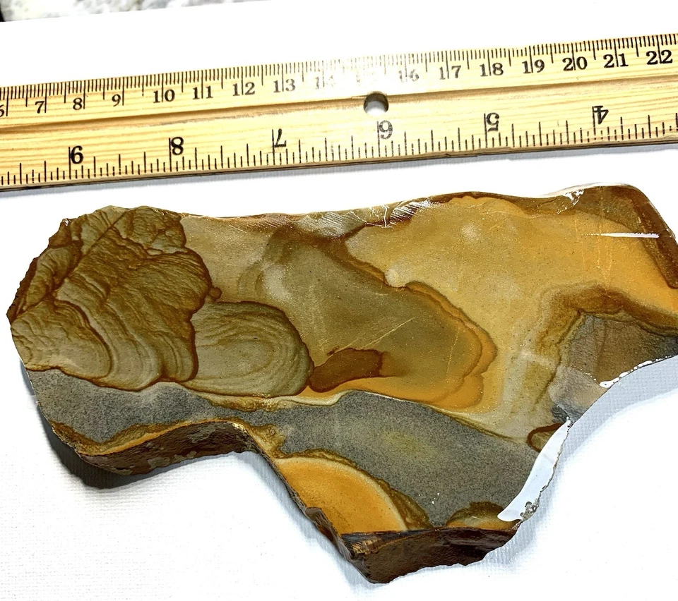 Disaster Peak Picture Jasper Slab - Image 2 of 4