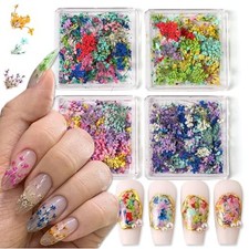 4 Boxes 3D Dried Flowers Nail Art Stickers Mini Dried Flower Nail Stickers