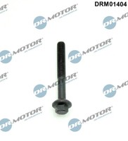 Dr.Motor Automotive DRM01404 Schraube, EinspritzdüSenhalter For Dacia Renault