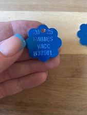 1 Rabies Vaccination Tag 2025 Vet Tags Dogs Cats New Generic Blank Vet Supplies