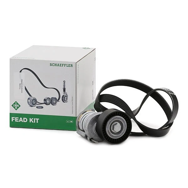 INA 529 0103 10 Keilrippenriemensatz für VW Golf IV Schrägheck (1J1) POLO (9N)