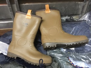 dickies rigger
