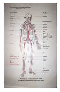 American Red Cross Charts