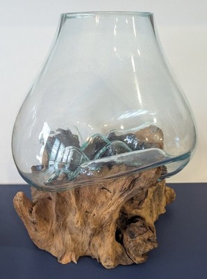 Molten Glass Terrarium on Driftwood Base Beach House Art Sculpture Decor Ocean 