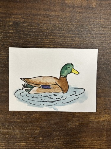 ACEO original mini art painting. OOAK watercolor mallard duck.  by MB