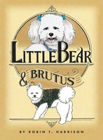 Robin Harrison | Little Bear & Brutus | Taschenbuch | Englisch (2021)
