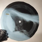 LED ZEPPELIN ROCK & ROLL X-Ray USSR Record Roentgen Bone Ribs Music Vinyl