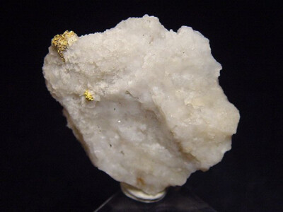 Gold kristallin in Quarz / Goldstufe 33 mm Brusson, Val d'Aosta, Italien (4270t)