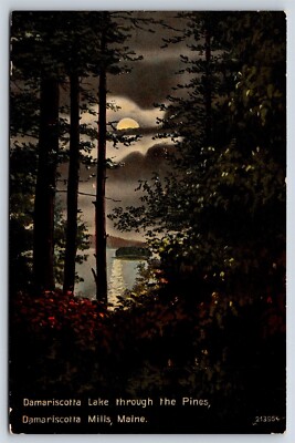 Postcard ME Damariscotta Lake Through The Pines Damariscotta Mills Maine AX4