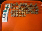 500+ Buffalo Nickels — No Date & Restored Date P, D & S