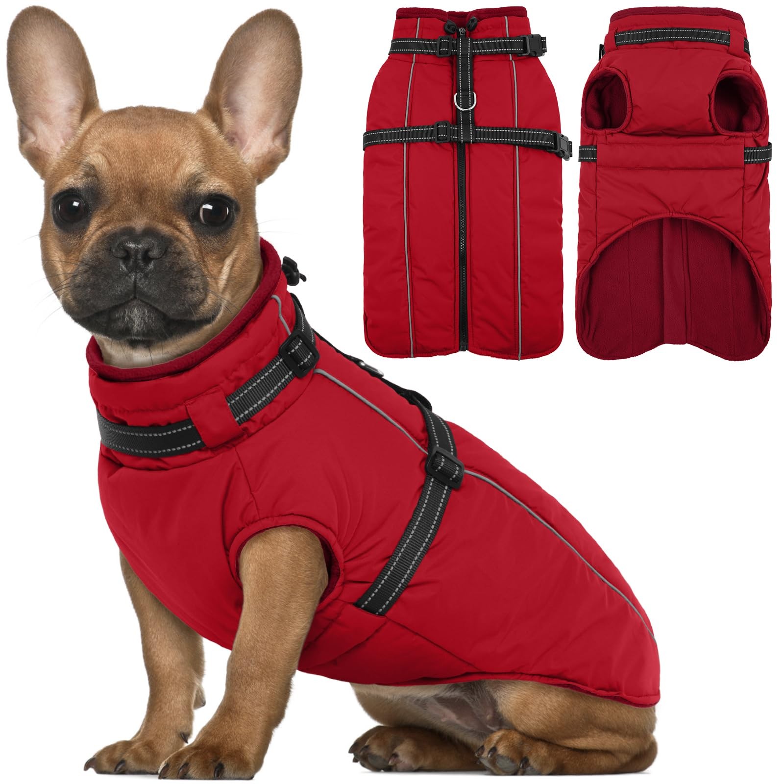 Veste pour chien avec harnais intégré pour stopper le froid des balades