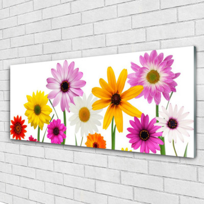 Acrylglasbilder Wandbilder aus Plexiglas  125x50 Blumen Pflanzen