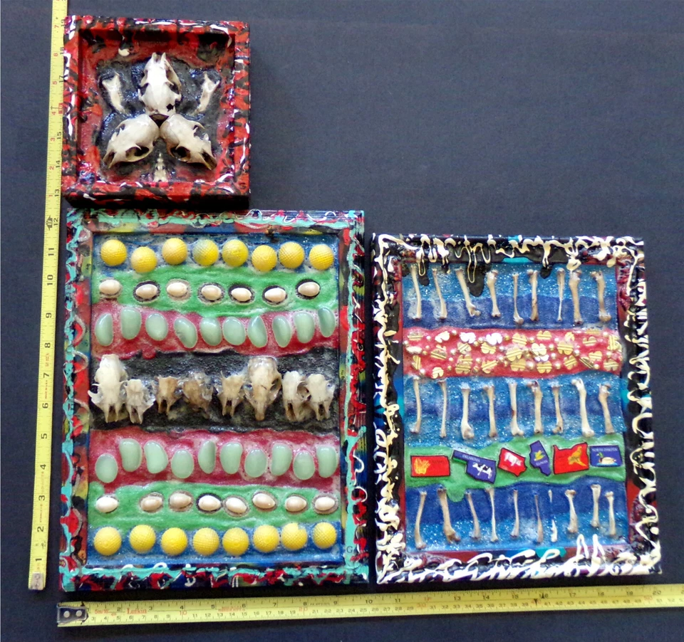 ANIMAL REAL CALAVERA Y HUESO 3x Conjunto Enmarcado Arte Original 3D Punk Collage Pintura Lote Foto 3 de 4