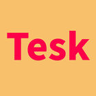 Tesk Car Products Store