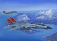 Hobbyboss 80368 1/48 F14D Super Tomcat