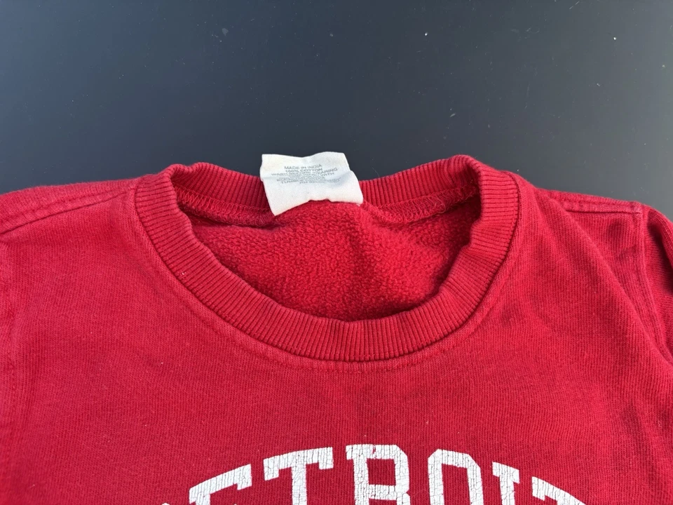 Detroit Red Wings Sweatshirt Toddler Baby 2T Pullover Hockey NHL Fan Wes Willy - Image 3 of 4