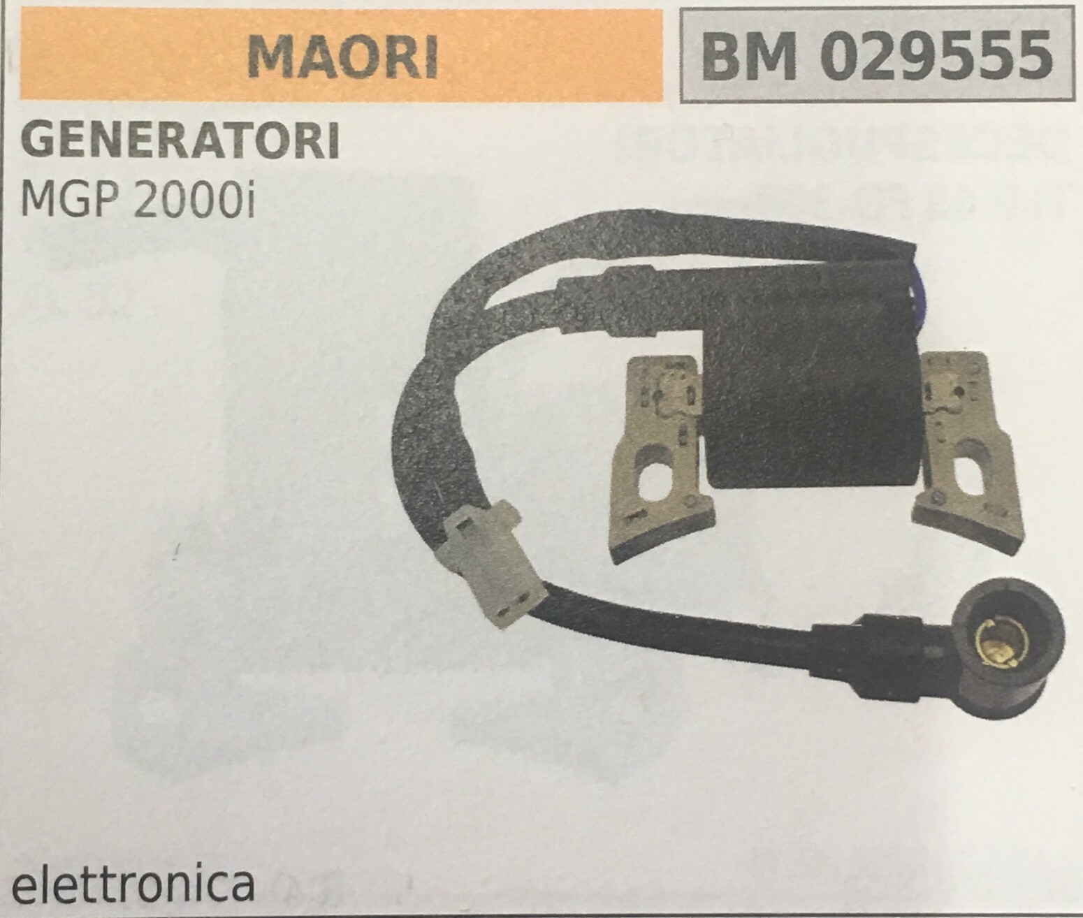 Guida Ricambio Bobina MAORI BM029555 - Accensione Elettronica Fai-da-Te