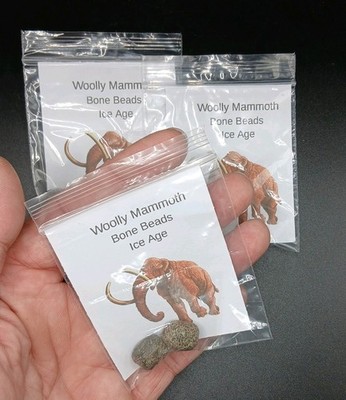 Fossil Wollmammut Knochen Perlen Eiszeit 