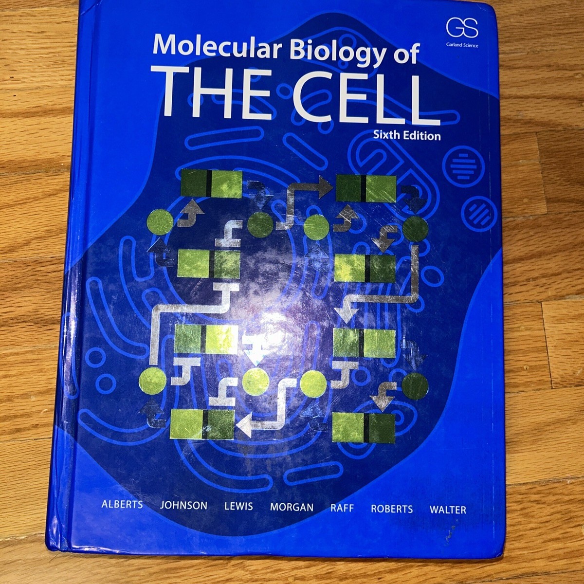 健康・医学 Molecular Biology of the Cell, 7th Amazon.com: Molecular Biology of the Cell eBook : Alberts
