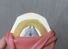 Picture 10 of 23