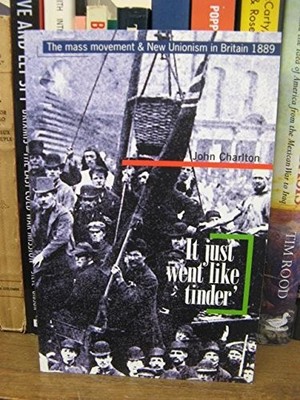 IT JUST WENT LIKE TINDER' : The Mass Movement and Ne by John Charlton 1872208118