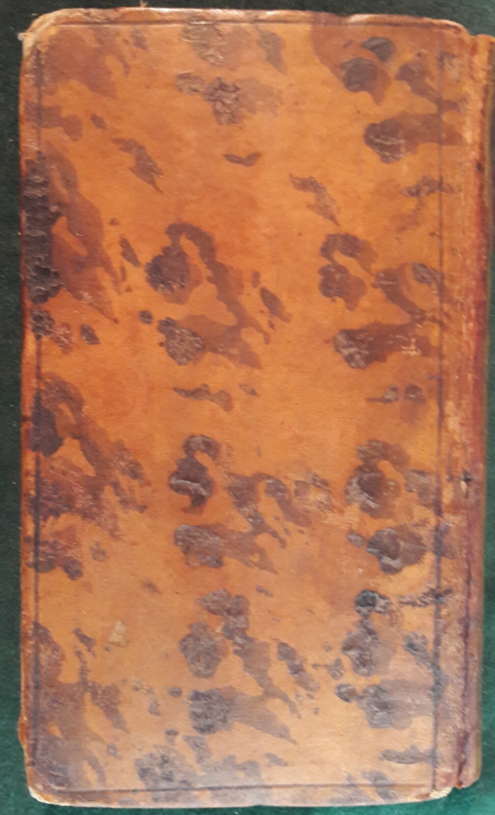 Picture 4 of 6