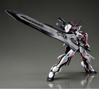GUNDAM SEED LOAD ASTRAY OMEGA Ω HG COSMIC ERA 1/144 MHF-01Ω Model Kit Bandai