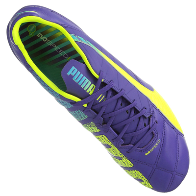 Puma evoSPEED Lth FG Leder Fußballschuhe Rasenplatz Marco Reus