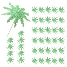 Stuzzicadenti di Cocco Verde Stuzzicadenti Ombrelli di Carta Stuzzicadenti 4498