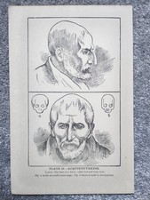 Acquisitiveness - Phrenology - Antique Print - 1889