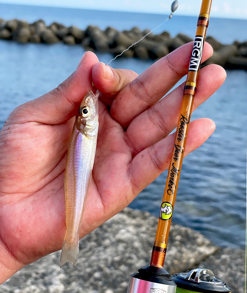 JACKALL RGM spec.T 135B One-piece Glass Bait Rod Choose