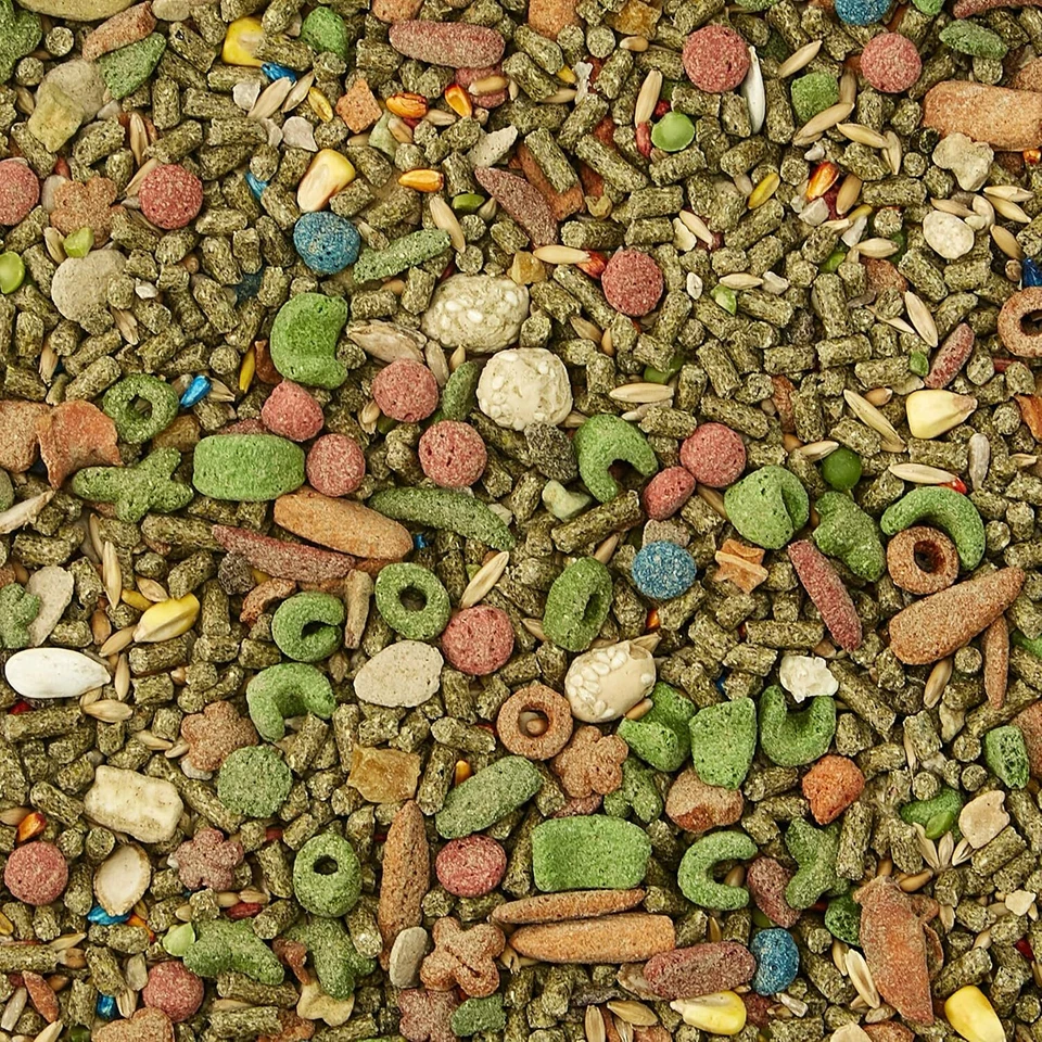 Comida para conejillo de indias Kaytee Fiesta, 2,5 libras Foto 3 de 4