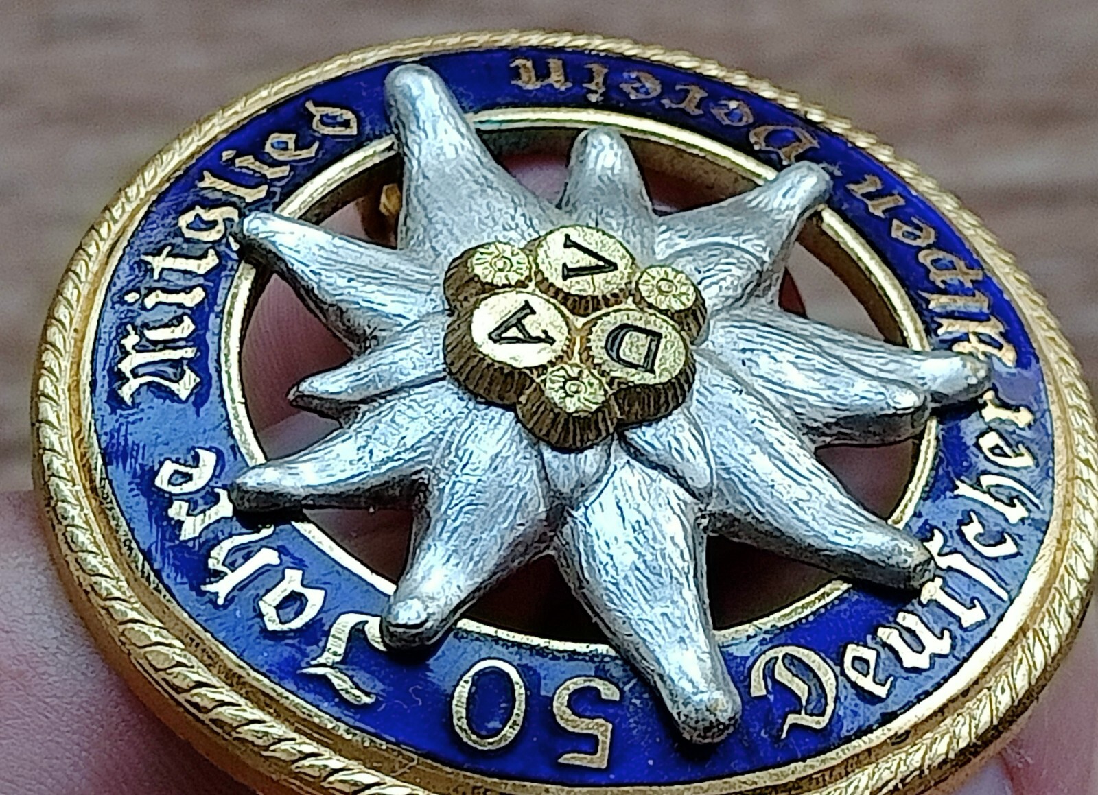 Picture 4 of 13