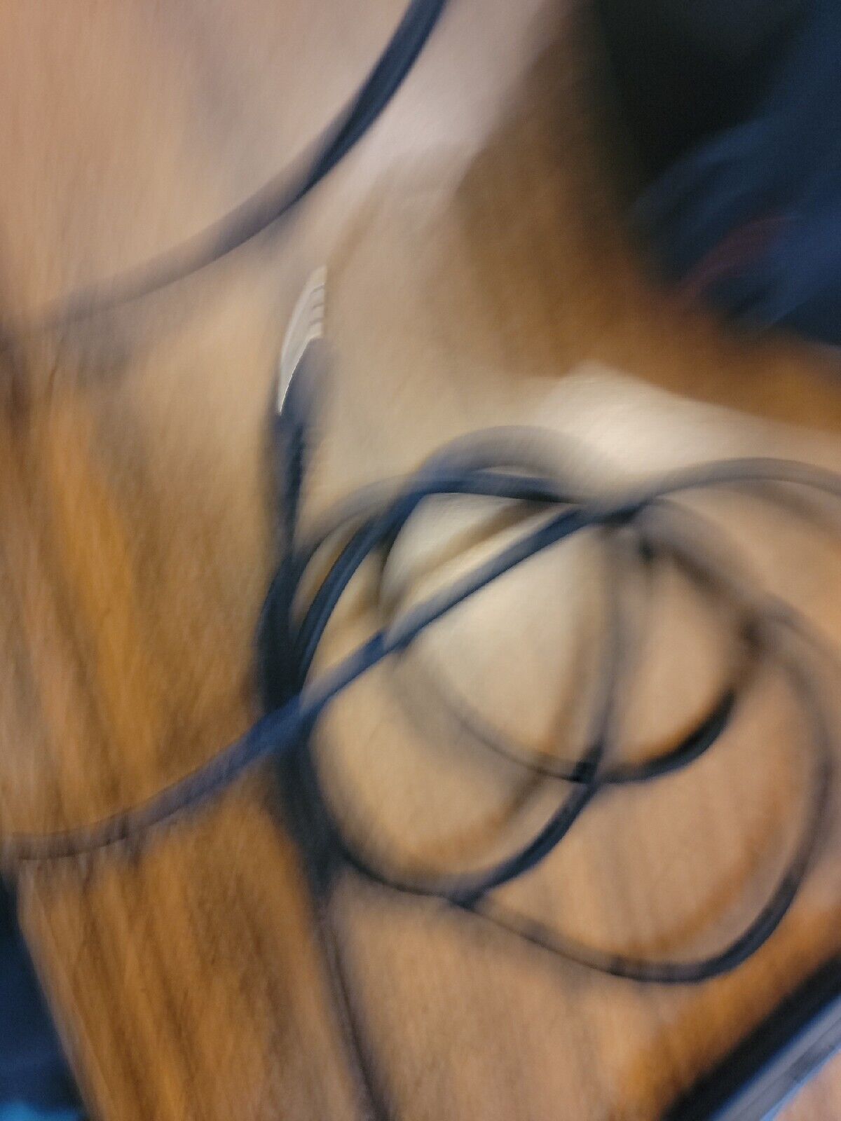 Bild 5 von 5